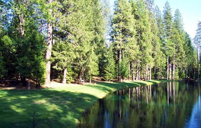 Merlo park is owned by a Weyerhouser Timber man who created it in memory of his wife